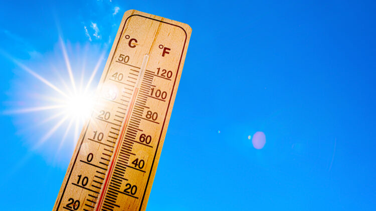 Vigilance canicule : prolongation de l&rsquo;ouverture du coin fraicheur à la bibliothèque