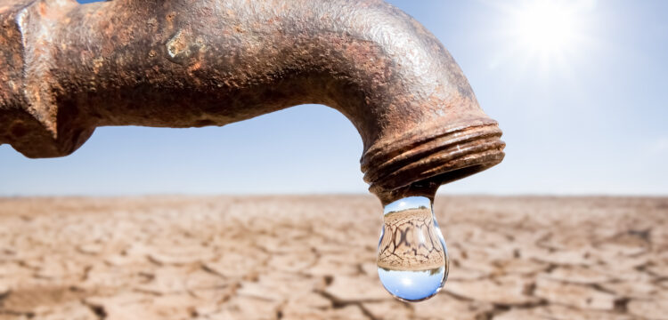 Sécheresse dans les Yvelines: quelles restrictions d&rsquo;eau à Bailly?