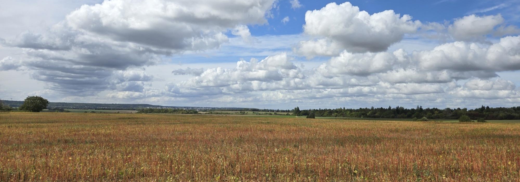 Plaine de Bailly