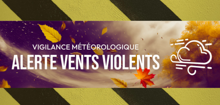 Vents violents : fermeture exceptionnelle du parc de la Châtaigneraie pour des raisons de sécurité